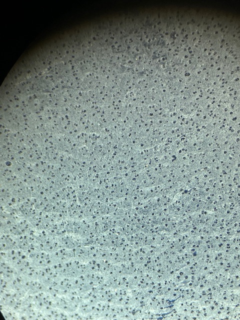 /vgforum/index.php?t=getfile&id=11993&private=0